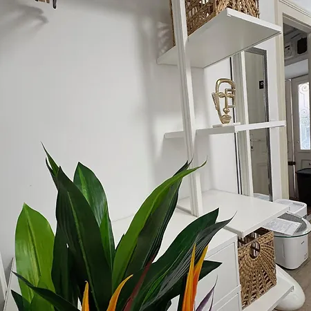 Noa Old Town - - Ground Floor Dubrovnik